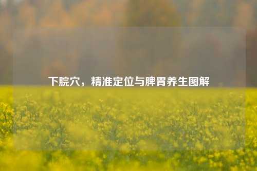 下脘穴，精准定位与脾胃养生图解