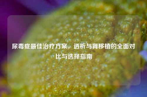 尿毒症更佳治疗方案，透析与肾移植的全面对比与选择指南