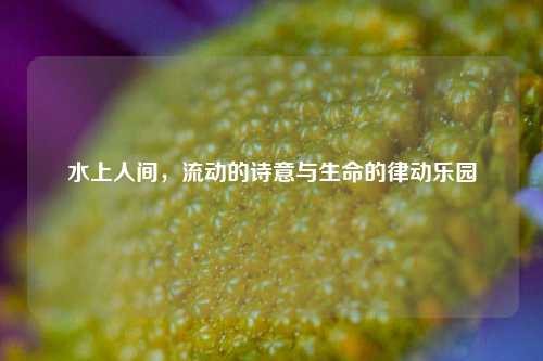 水上人间，流动的诗意与生命的律动乐园