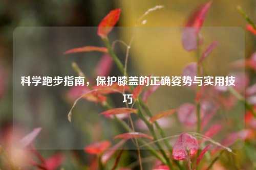 科学跑步指南，保护膝盖的正确姿势与实用技巧