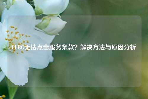PUBG无法点击服务条款？解决 *** 与原因分析
