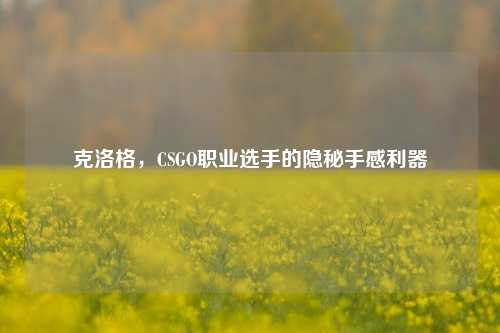 克洛格，CSGO职业选手的隐秘手感利器