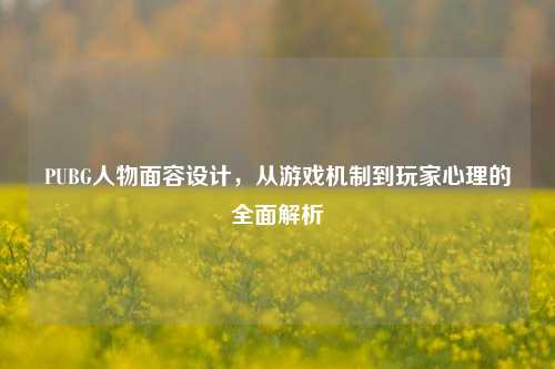PUBG人物面容设计，从游戏机制到玩家心理的全面解析