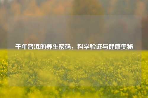 千年普洱的养生密码，科学验证与健康奥秘