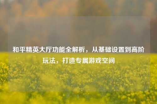 和平精英大厅功能全解析，从基础设置到高阶玩法，打造专属游戏空间