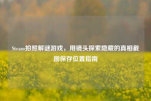 Steam拍照解谜游戏，用镜头探索隐藏的真相截图保存位置指南