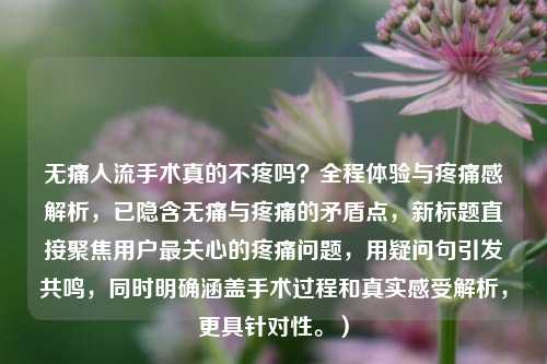 无痛人流手术真的不疼吗？全程体验与疼痛感解析，已隐含无痛与疼痛的矛盾点，新标题直接聚焦用户最关心的疼痛问题，用疑问句引发共鸣，同时明确涵盖手术过程和真实感受解析，更具针对性。）