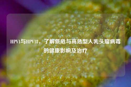 HPV1与HPV18，了解低危与高危型人 *** 瘤病毒的健康影响及治疗