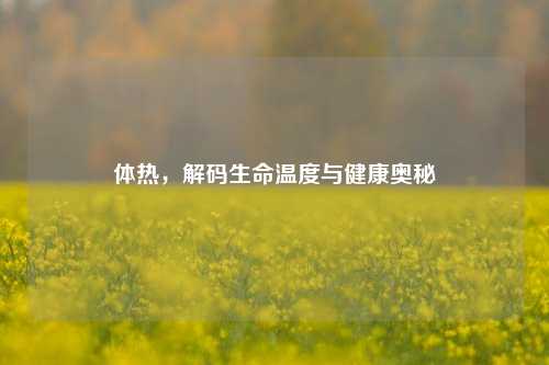 体热，解码生命温度与健康奥秘