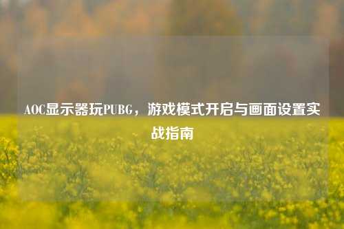AOC显示器玩PUBG，游戏模式开启与画面设置实战指南