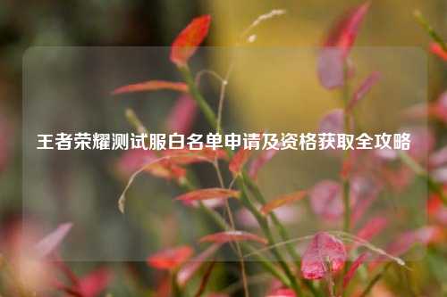 王者荣耀测试服白名单申请及资格获取全攻略
