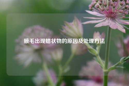腋毛出现蜡状物的原因及处理 *** 