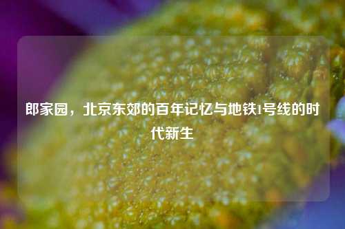 郎家园，北京东郊的百年记忆与地铁1号线的时代新生