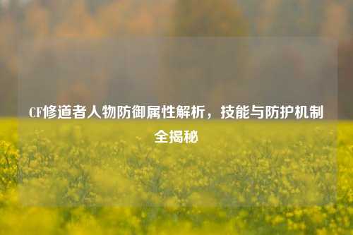 CF修道者人物防御属性解析，技能与防护机制全揭秘