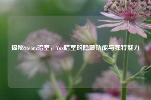 揭秘Steam暗室，Vox暗室的隐藏功能与独特魅力