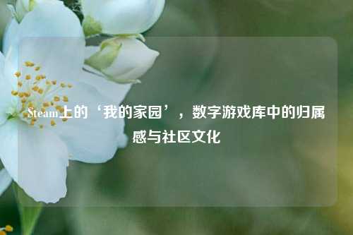 Steam上的‘我的家园’，数字游戏库中的归属感与社区文化