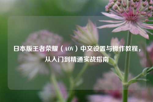 日本版王者荣耀（AOV）中文设置与操作教程，从入门到精通实战指南