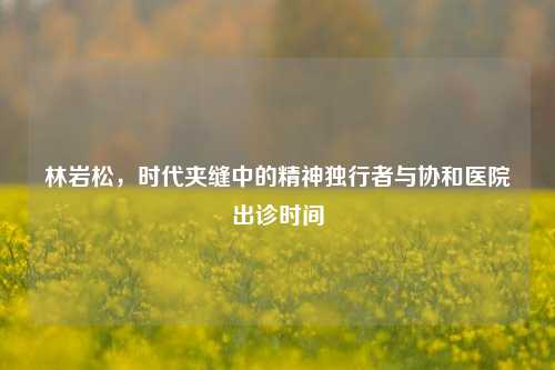 林岩松，时代夹缝中的精神独行者与协和医院出诊时间