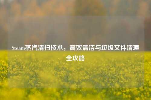 Steam蒸汽清扫技术，高效清洁与垃圾文件清理全攻略