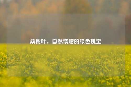 桑树叶，自然馈赠的绿色瑰宝