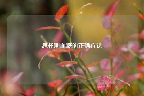 怎样测血糖的正确 *** 