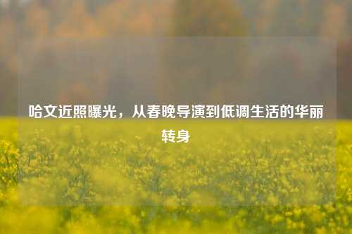 哈文近照曝光，从春晚导演到低调生活的华丽转身