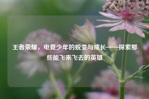 王者荣耀，电竞少年的蜕变与成长——探索那些能飞来飞去的英雄