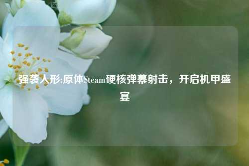 强袭人形:原体Steam硬核弹幕射击，开启机甲盛宴