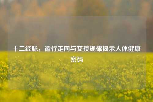 十二经脉，循行走向与交接规律揭示人体健康密码
