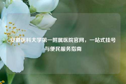 安徽医科大学之一附属医院官网，一站式挂号与便民服务指南