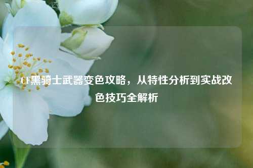 CF黑骑士武器变色攻略，从特性分析到实战改色技巧全解析