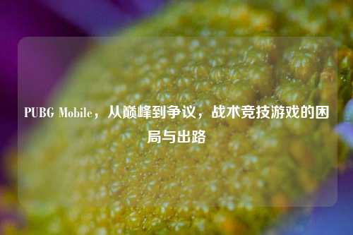PUBG Mobile，从巅峰到争议，战术竞技游戏的困局与出路