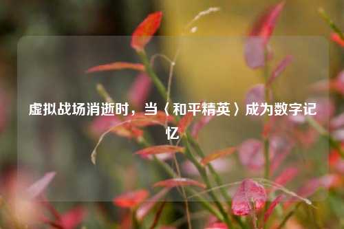 虚拟战场消逝时，当〈和平精英〉成为数字记忆