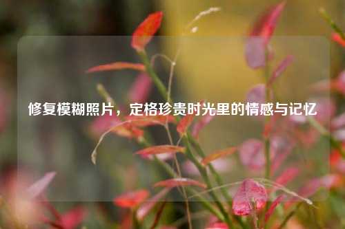 修复模糊照片，定格珍贵时光里的情感与记忆