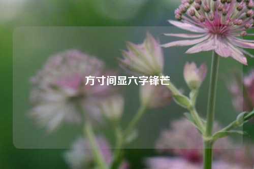 方寸间显六字锋芒
