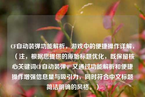 CF自动装弹功能解析，游戏中的便捷操作详解，（注，根据您提供的原始标题优化，既保留核心关键词CF自动装弹，又通过功能解析和便捷操作增强信息量与吸引力，同时符合中文标题简洁明确的风格。）