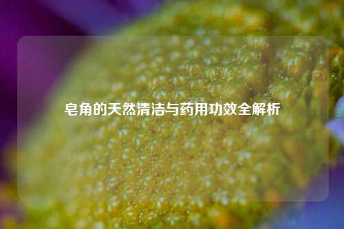 皂角的天然清洁与药用功效全解析