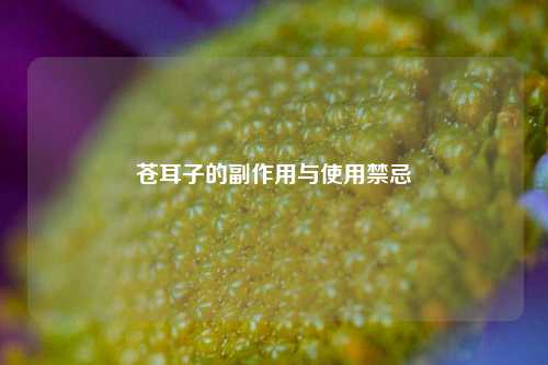 苍耳子的副作用与使用禁忌