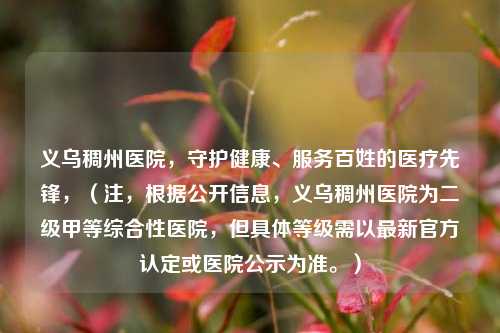 义乌稠州医院,守护健康、服务百姓的医疗先锋,(注,根据 *** 息,义乌稠州医院为二级甲等综合性医院,但具体等级需以最新官方认定或医院公示为准。)