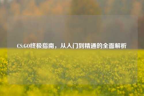 CS:GO终极指南，从入门到精通的全面解析