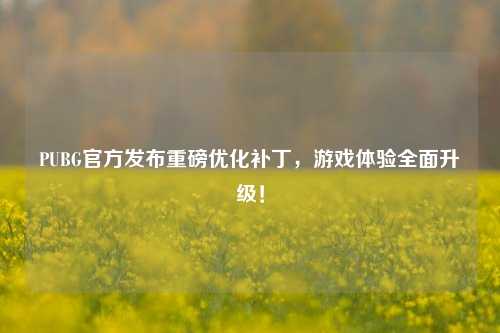 PUBG官方发布重磅优化补丁，游戏体验全面升级！