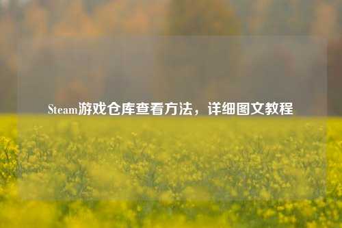 Steam游戏仓库查看 *** ，详细图文教程