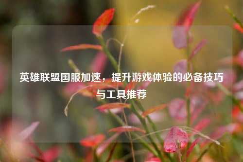 英雄联盟国服加速，提升游戏体验的必备技巧与工具推荐