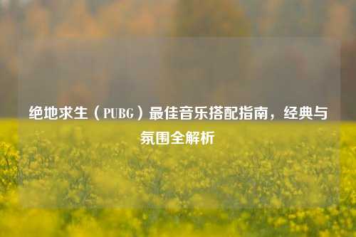 绝地求生（PUBG）更佳音乐搭配指南，经典与氛围全解析