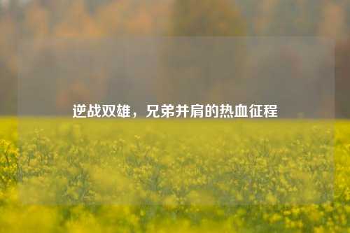 逆战双雄，兄弟并肩的热血征程