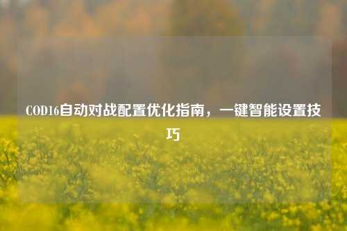 COD16自动对战配置优化指南，一键智能设置技巧