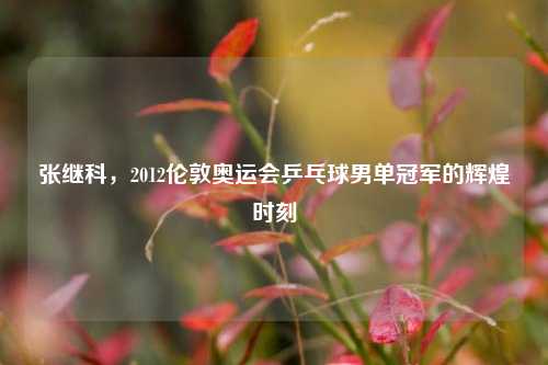 张继科，2012伦敦奥运会乒乓球男单冠军的辉煌时刻