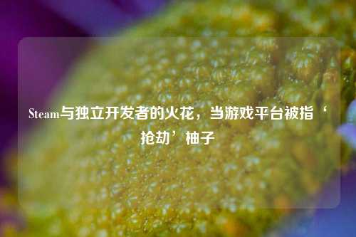 Steam与独立开发者的火花，当游戏平台被指‘抢劫’柚子