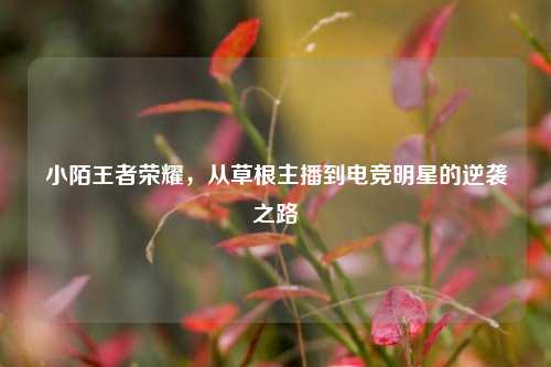 小陌王者荣耀，从草根主播到电竞明星的逆袭之路