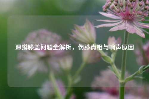 深蹲膝盖问题全解析，伤膝真相与响声原因